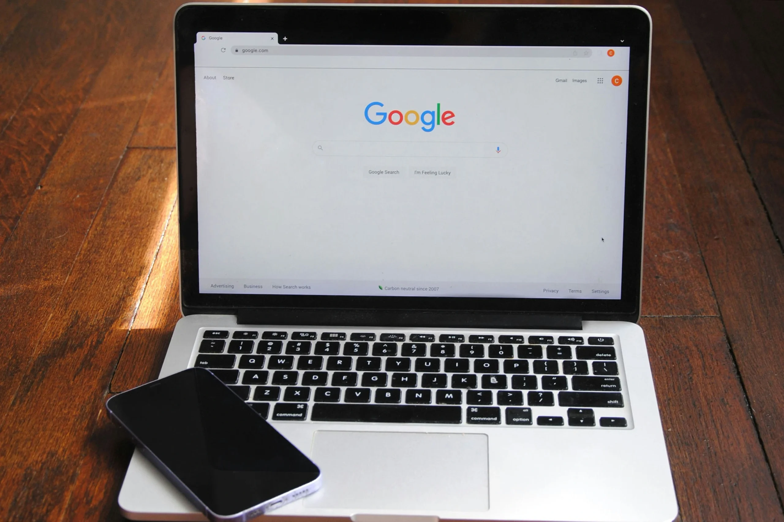 search engine optimization portfolio